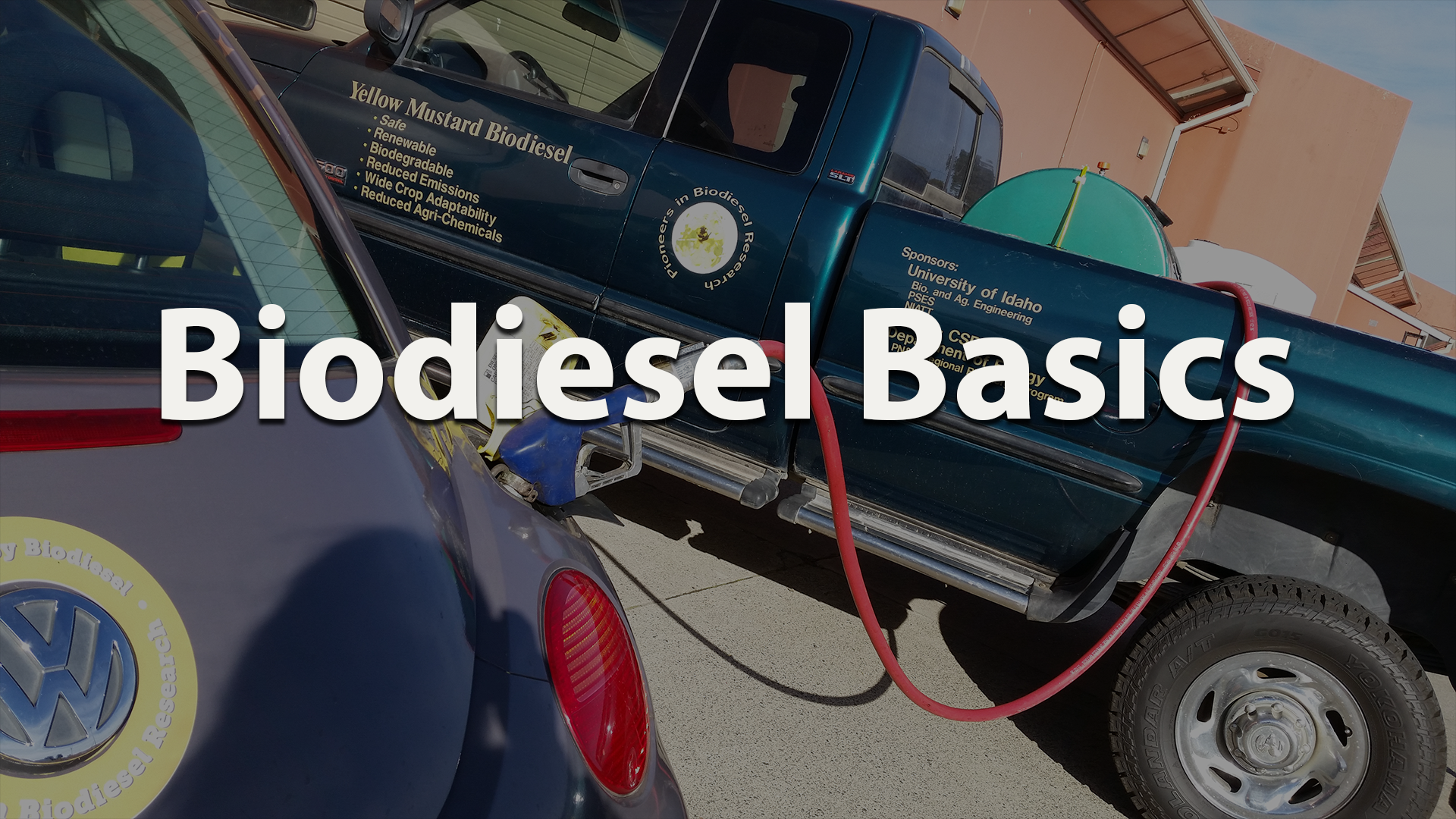 What if Biodiesel